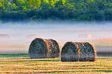 Mist Beyond Bales At Sunrise_27458